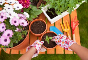 Spring gardening