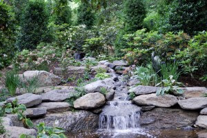 water feature, pond, waterfall